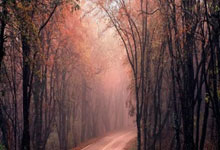 伯恩利击败对手，保持不败势头：一场让人热血沸腾的胜利