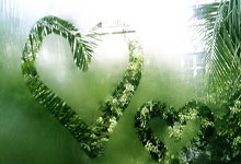 凯尔特人后卫伤痊愈，球队全力备战季后赛