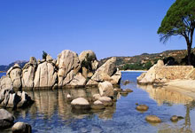 热火球队新援参加训练融入战队备战新赛季比赛